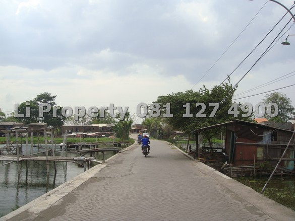 dijual-kavling-tanah-muktiharjo-waru-kaligawe-demak-semarang-liproperty-hanna-li-rumah123