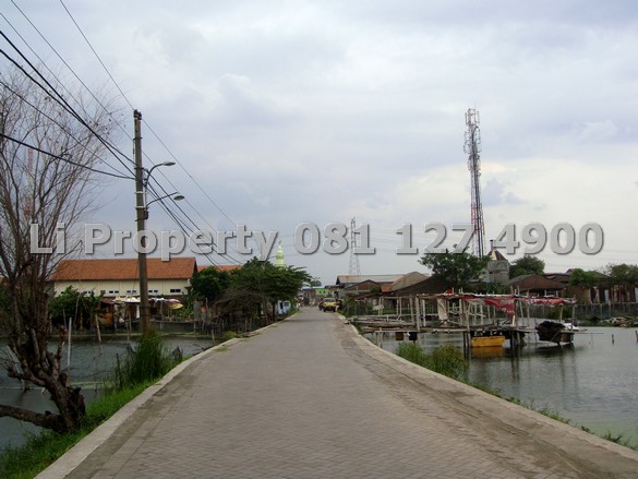 dijual-kavling-tanah-muktiharjo-waru-kaligawe-demak-semarang-liproperty-hanna-li-rumah123