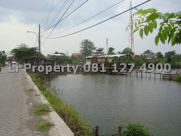 dijual-kavling-tanah-muktiharjo-waru-kaligawe-demak-semarang-liproperty-hanna-li-rumah123