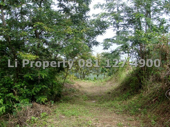 dijual-kavling-tanah-srondol-banyumanik-view-gunung-laut-semarang-selatan-liproperty-hanna-li-rumah123