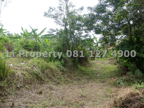 dijual-kavling-tanah-srondol-banyumanik-view-gunung-laut-semarang-selatan-liproperty-hanna-li-rumah123