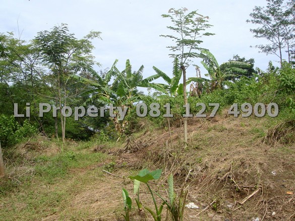 dijual-kavling-tanah-srondol-banyumanik-view-gunung-laut-semarang-selatan-liproperty-hanna-li-rumah123