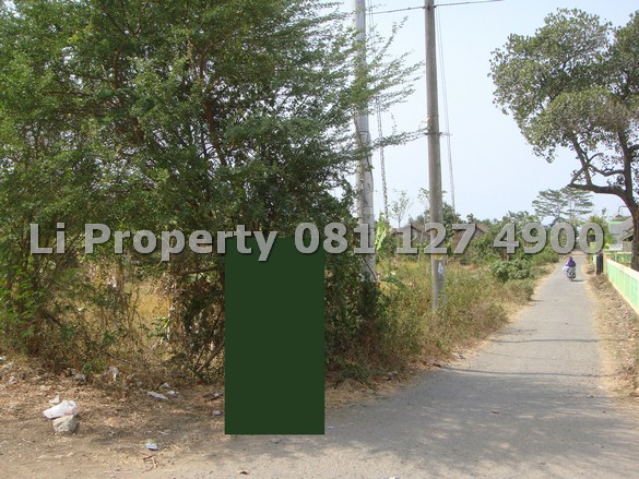 dijual-kavling-tanah-sumberejo-kaliwungu-kendal-liproperty-hanna-li-rumah123-olx-urbanindo