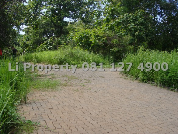 dijual-kavling-tanah-jangli-candisari-semarang-liproperty-hanna-li-rumah123-olx-urbanindo