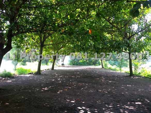 dijual-rumah-kavling-pesanggrahan-ringroad-dekat-rs-jih-polda-hartono-mall-yogya-liproperty-hanna-li-rumah123-olx-urbanindo