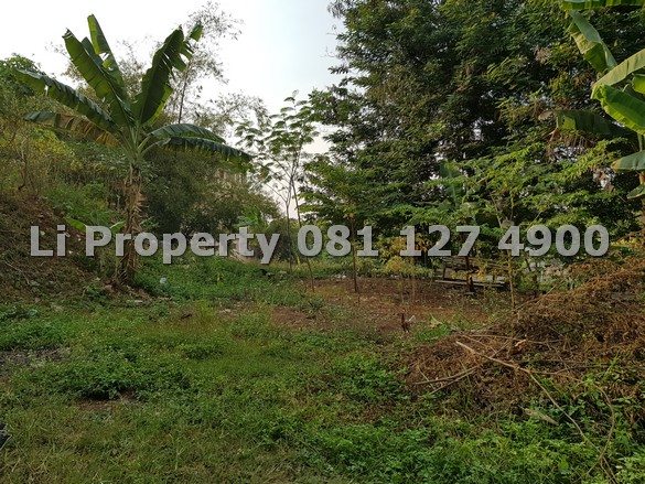 dijual-kavling-tanah-pawiyatan-dekat-kampus-unika-semarang-liproperty-hanna-li-rumah123-olx-urbanindo