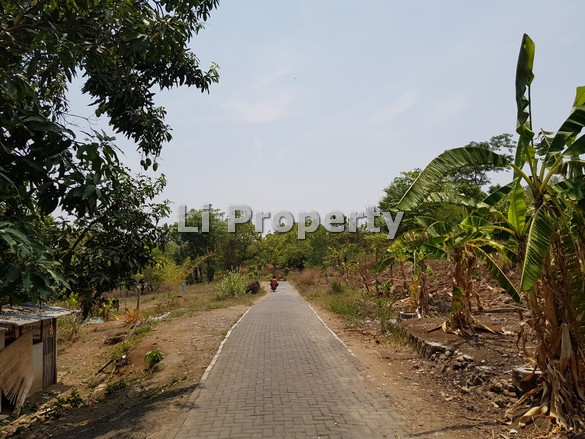 dijual-tanah-kavling-burangrang-jangli-dekatkampusundip-tembalang-semarang-liproperty-hanna-li-rumah123-olx-99