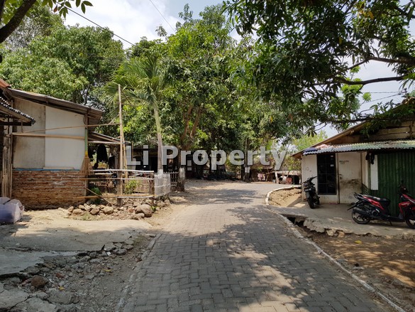 dijual-tanah-kavling-burangrang-jangli-dekatkampusundip-tembalang-semarang-liproperty-hanna-li-rumah123-olx-99
