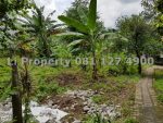 dijual-kavling-tanah-pawiyatan-unika-tinjomoyo-semarang-liproperty-hanna-li-rumah123-olx-urbanindo